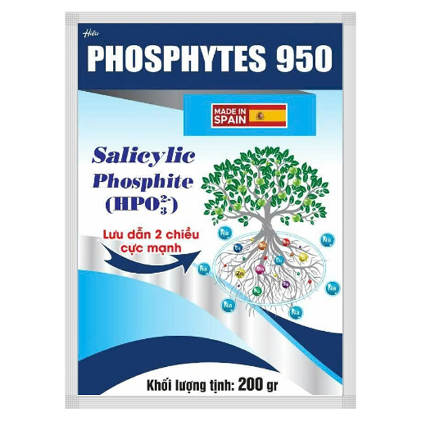 Phosphytes 950